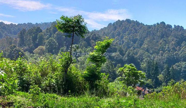 Harga Termurah .. Tanah Bagus Asri Dan Sejuk di Gambung Ciwidey 1