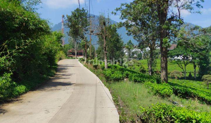 Tanah Dijual Luas Type Downslope di Gambung Ciwidey 1