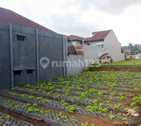 Kavling Ideal Siap Bangun di Setiabudi Regency , Bandung Kavling Ideal Siap Bangun di Setiabudi Regency , Bandung