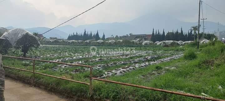 Tanah Luas Harga Termurah di Lembang Maribaya View Pugunungan 1