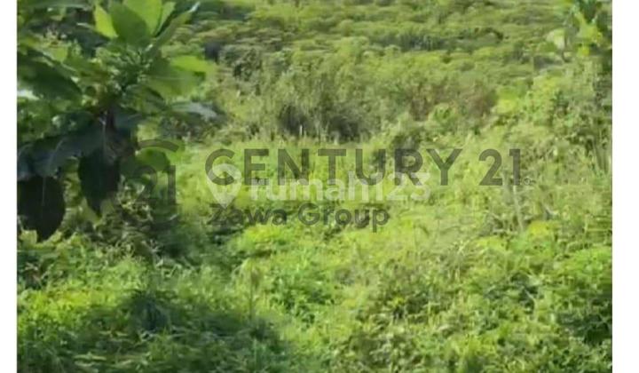 Dijual Tanah Belakang Permata Sentul Golf Club Di Citereup Bogor