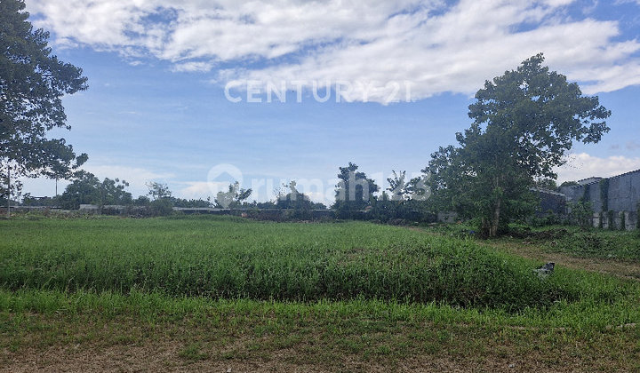 Ready-to-Build Land in the Exclusive Tanjung Bunga Area of Makassar Ready-to-Build Land in the Exclusive Tanjung Bunga Area of Makassar