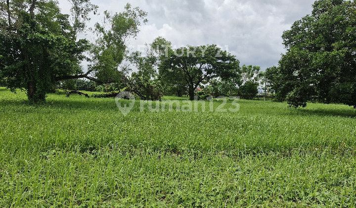 Tanah Siap Bangun Di Cluster Mewah Di Tanjung Bunga Makassar