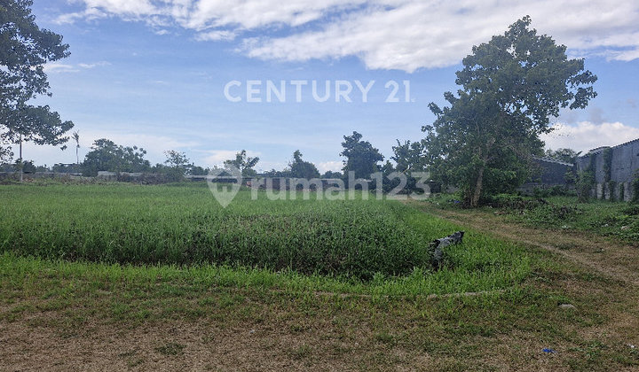 Ready-to-Build Land in an Exclusive Cluster in Tanjung Bunga, Makassar