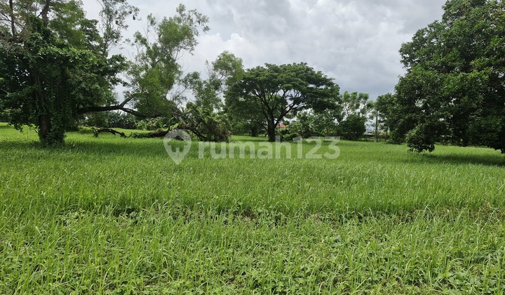 Ready-to-Build Land Plots in the Exclusive Tanjung Bunga Cluster, Makassar