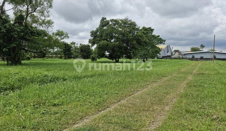 Ready-to-Build Land Plots in the Exclusive Tanjung Bunga Cluster, Makassar