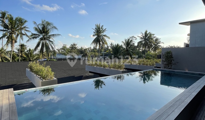 Brand New Villa 2 Bedrooms With Rice Fields View In Peliatan Ubud Brand New Villa 2 Bedrooms With Rice Fields View In Peliatan Ubud