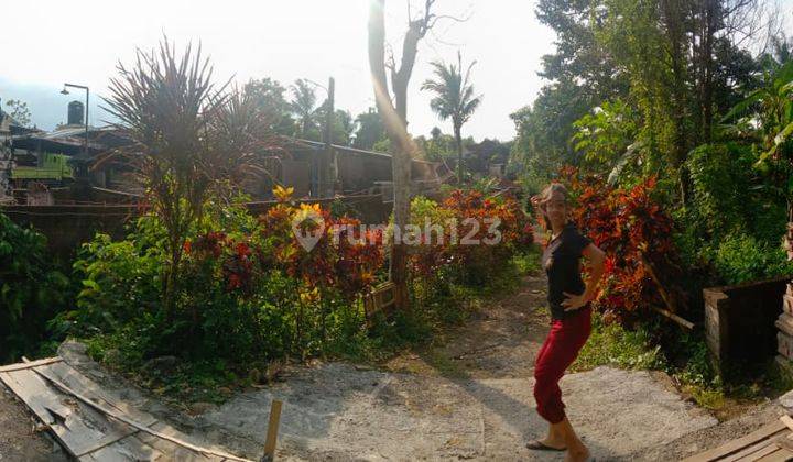  Tanah Dan Bangunan di Darmawangsa, Tabanan 1