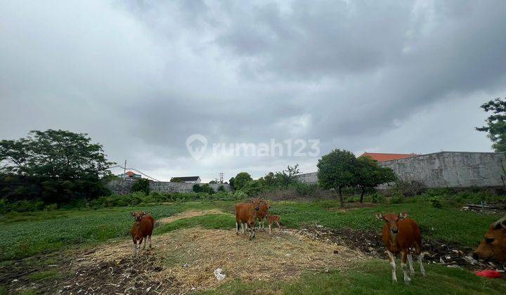 Tanah Di Sesetan Min 20 Tahun Harus Ambil Global 2