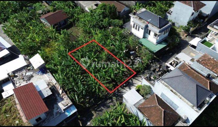  Tanah Murah Dijual Global  di Penatih, Denpasar Timur 2