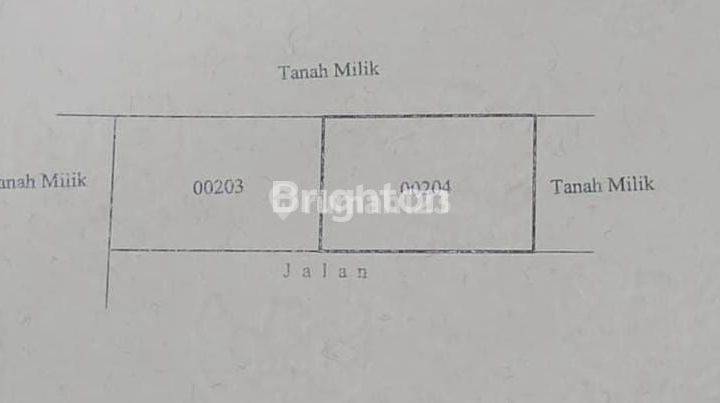 Tanah 2 Are Siapa Cepat Dia Dapat Di Jl Punggul, Abiansemal 2