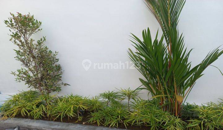 Villa Semi Furnished Bagus di Berawa utara, Canggu 2