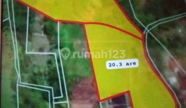Tanah Datar 40Are Siap Bangun di Tabanan