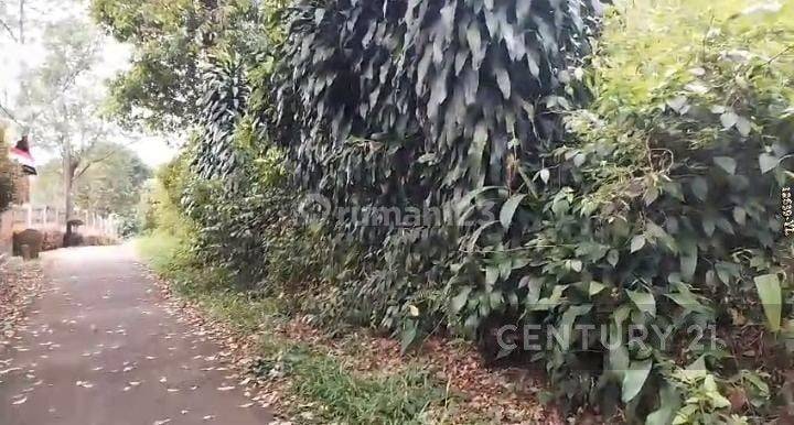 Dijual Tanah Di Sukaharja CijerukBogor Cucuk Utk Villa 2