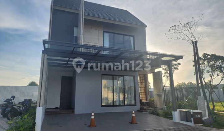 New launcing Botanica aralia New hunian 2