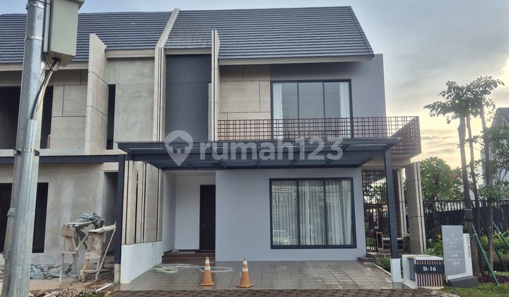 Cluster Botanic Aralia