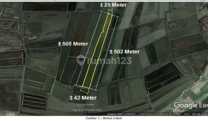 Tanah Tambak di Desa Randusanga Kulon, Brebes 1