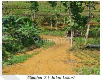 Tanah Kebun Desa Tanahbaya Cocok Untuk Pertanian Dan Perkebunan 2