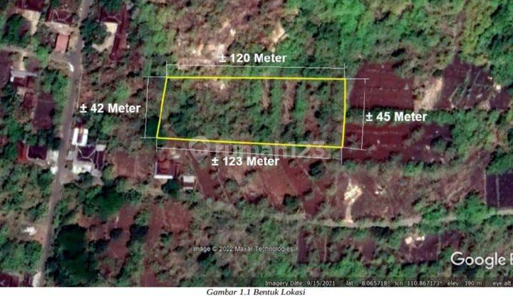 Tanah Kebun di Desa Giritontro 1 Cocok Untuk Perkebunan 1