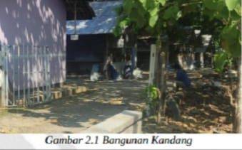 Dijual Tanah Dan Kandang Kawasan Pertanian Akses Jalan Kabupaten 2