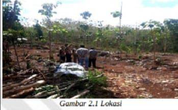 Tanah Kebun Tegalan Lokasi Kawasan Permukiman Dan Hutan Rakyat 2