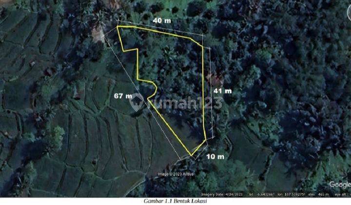 Tanah Kebun Kosong Kawasan Perkebunan Dan Budidaya Tanaman Pangan 1