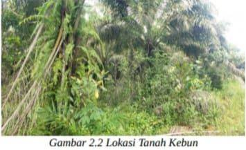 Tanah Kebun Desa Tenginbaru Kawasan Pertanian Lahan Kering 2