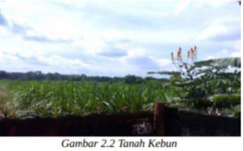 Tanah Kebun Kawasan Perkebunan Dan Permukiman Perdesaan 2