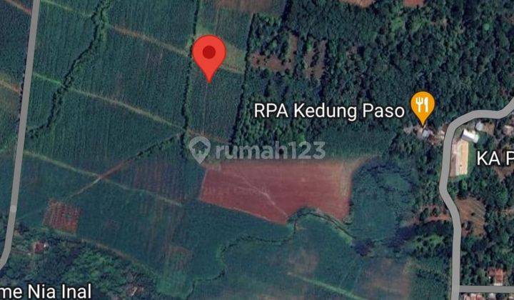 Jual Murah Tanah Kavling SHM 1000 M2 di Cluwak Pati 1