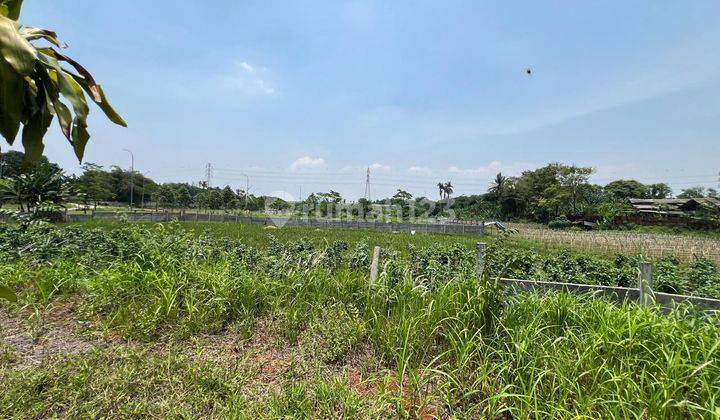 Tanah Murah Dekat Hiera Bsd Dan Dekat Jalan Raya 1