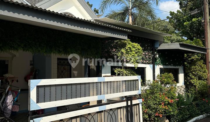 1.5 story hook house, 3+1 bedrooms facing southwest in Sector 6 1