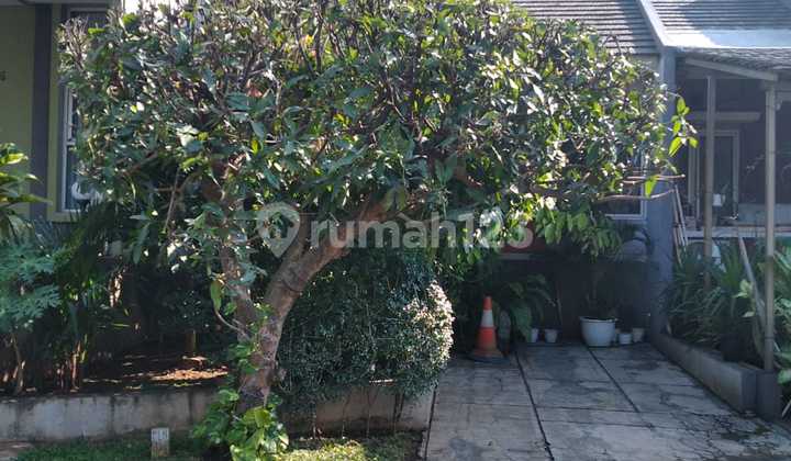 Rumah Murah 1 Lantai 2 Kamar Dekat Tol di Palem Semi