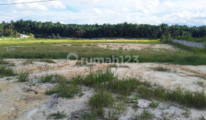 Jual Tanah Murah Pinggir Jalan Raya Di Bengkalis 2