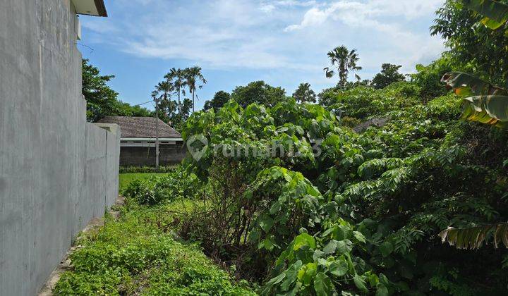 Strategic Land for Rent on Jalan Munduk Kalampuak, Batu Bolong Canggu – 4.5 Are, Suitable for Villa Rental & Investment! Only 216 Million/Year (Long Term Negotiation)