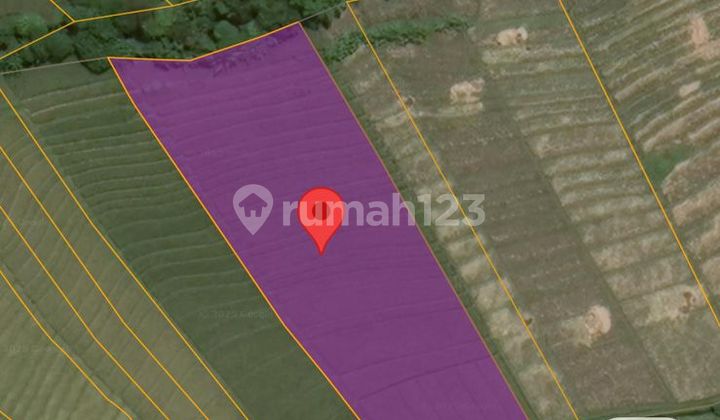 Tanah Dijual di Desa Sudimara, Tabanan – Langsung Akses ke Pantai Yeh Gangga – Cocok untuk Kavling & Villa Rental   2