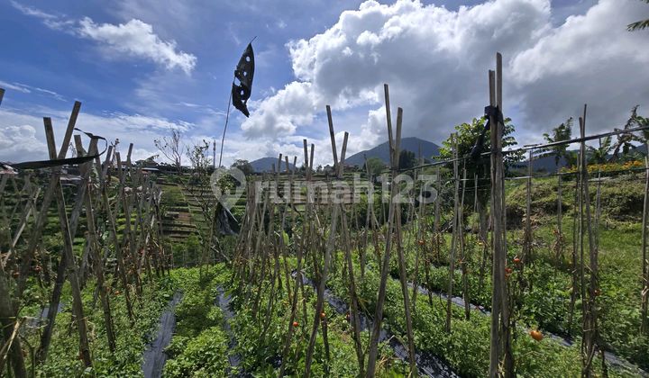 Dijual Tanah View Lembah dan Gunung di Bali Tanah