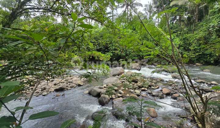 Land for Sale in Tabanan Bali, Riverfront