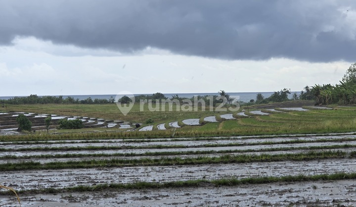 Dijual Tanah Murah View Laut Pasut Tabanan Bali