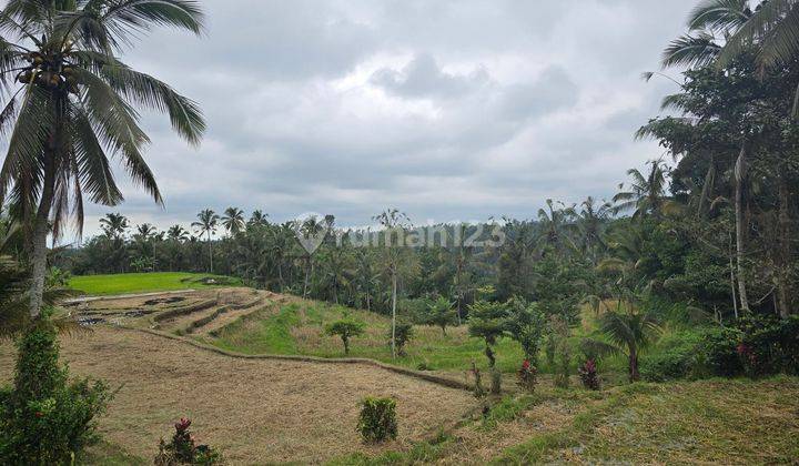 FOR SALE CHEAP BEAUTIFUL VIEW LAND in Penebel Tabanan Bali 1