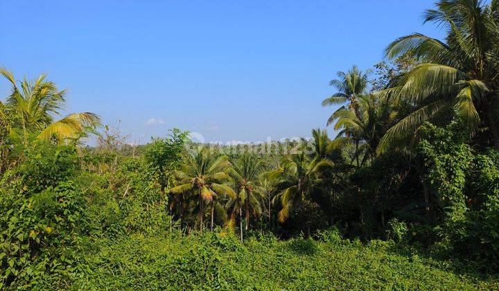 Tanah murah view jugle dekat villa kus farm bali 2