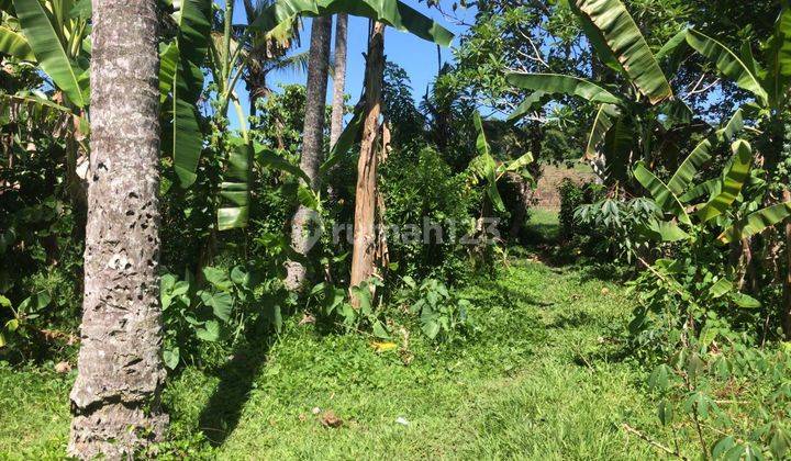 Tanah murah datar view sawah di tabanan bali 2