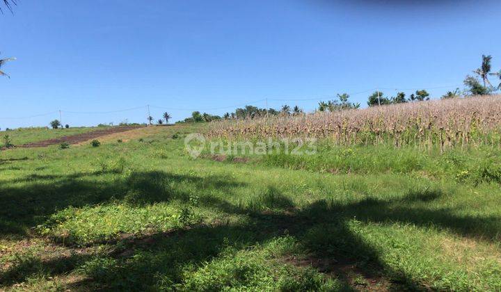 Tanah murah dengan view sawah di tabanan bali 2