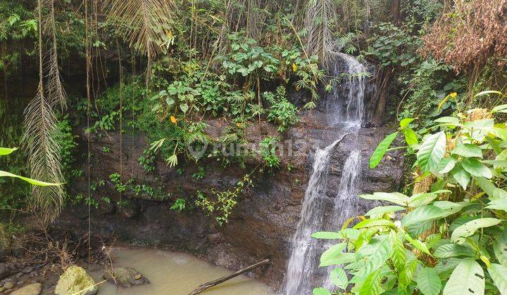 Tanah kebun dengan air terjun yang indah di bali 1