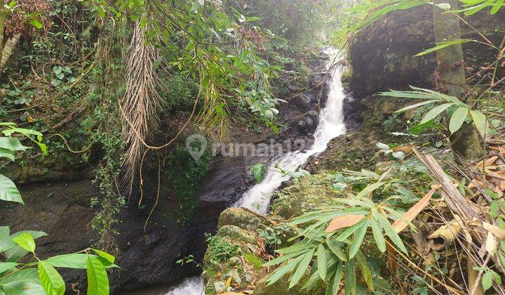 Tanah kebun dengan air terjun yang indah di bali 2