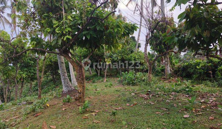 Tanah  murah view lembah jugle dan gunung di bali 2