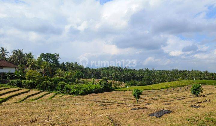 Tanah murah zona kuning view sawah dan bukit di bali 2