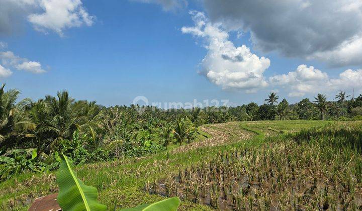 Dijual tanah kebun murah view sawah di tabanan balj 2