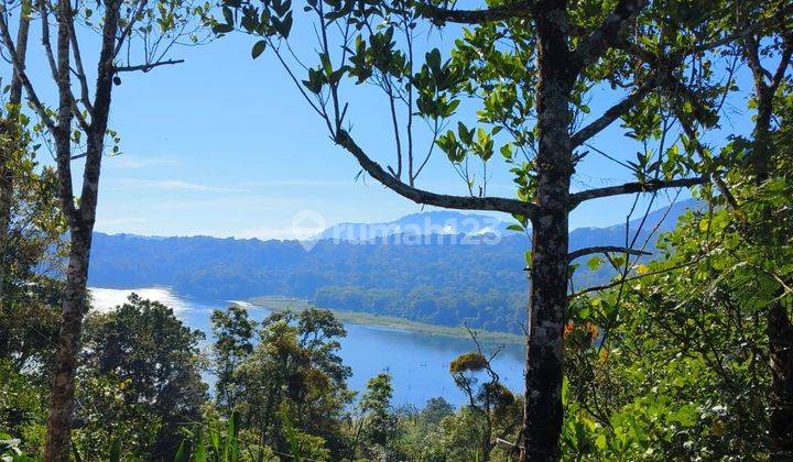 CHEAP LAND FOR SALE WITH MOUNTAIN LAKE VIEW IN MUNDUK BULELENG BALI 1