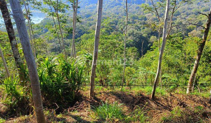 CHEAP LAND FOR SALE WITH MOUNTAIN LAKE VIEW IN MUNDUK BULELENG BALI 2