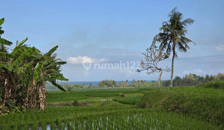 DIJUAL TANAH DEKAT PANTAI VIEW LAUT SAWAH DI KLATING BALI 1